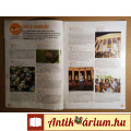 MiniMax Magazin 2016/Június (173.szám) viseltes (6kép+tartalom)