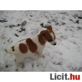 Jack Russel terrier