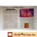 Élet és Tudomány 1995/50 (8kép+tartalom)