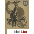 Széchenyi Zsigmond: AFRIKAI TÁBORTÜZEK I-II.