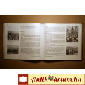 Élő Történelem - Történelmi Montázs 1944-1962 (Asperján György) 1984