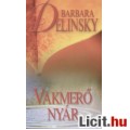 Barbara Delinsky: Vakmerő nyár