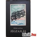 Eladó Végh Antal: JÉGZAJLÁS / Kisregények és elbeszélések