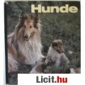 Eladó Teichmann: HUNDE