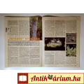 Élet és Tudomány 2000/29 (8kép+tartalom)