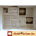 Ufómagazin 1992/5 Szeptember (14.szám) Ver.2 (10kép+tartalom)