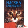 Eladó MACSKAKALENDÁRIUM
