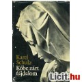 Eladó Schulcz: KŐBE ZÁRT FÁJDALOM - MICHELANGELO ÉLETREGÉNYE