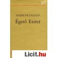 Eladó NÉMETH LÁSZLÓ: ÉGETŐ ESZTER  / 30 ÉV - Kötelező irodalom!
