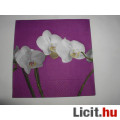 szalvéta - orchidea