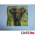 Eladó szalvéta - elefánt