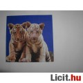 Eladó szalvéta - tigris kölykök
