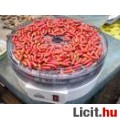 Eladó Chili paprika mag