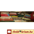 Usborne Enciklopédia gyermekeknek c. könyv
