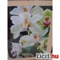 orchideák (fotó,üveg alatt)