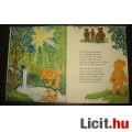 Teddy brumm ,német nyelvű mesekönyv