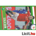 Eladó Focis-kártya ( 79 )