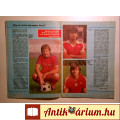 Labdarúgás 1984/3 Március