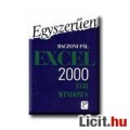 Eladó Baczoni: EXCEL 2000 for WINDOWS