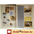 4x4 Magazin 2001/7 (UAZ B469 story) 10kép+tartalom