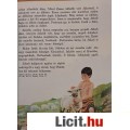 AZ ÉN KÖNYVEM BIBLIAI TÖRTÉNETEKRŐL