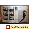 Még a Krokodilusnak is Van Barátja (Igor Akimuskin) 1966 (10kép+tartal