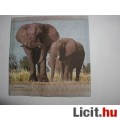 Eladó szalvéta - elefántok