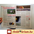 3. Évezred 2015/11 November (10kép+tartalom)