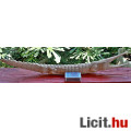 Eredeti ANTIK, Elefántcsont Krokodil az 1800-as évekből! Hibátlan álap