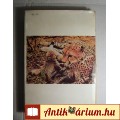 A Pettyes Szfinx (Joy Adamson) 1979 (9kép+Tartalom :) Ismeretterjesztő