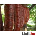 Eladó Mangalicakolbász