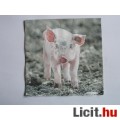 Eladó szalvéta - malac