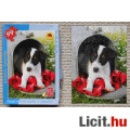 Kutyusos puzzle - 100 db-os (Prinz)