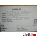 Vlasics Károly: Hazafelé
