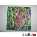 Eladó szalvéta - tigris