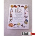 Selina Hastings: KÉPES BIBLIA GYERMEKEKNEK