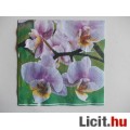 szalvéta - orchidea