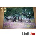 Eladó Gyönyörű LOVAS poszter 10. - Vadonat új!