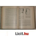 Eladó DONHOFFER: KÓRÉLETTAN