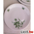 Bavaria Zöld rózsás porcelán kávéskészlet