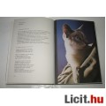 Doromboló macskás könyv