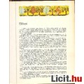 Jung: KÉPES BIBLIA -Szemelvényes szentírási szövegek fiataloknak
