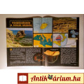Élet és Tudomány 2001/34 (8kép+tartalom)