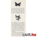 Mészáros-Vojnits: Lepkék, pillék, pillangók