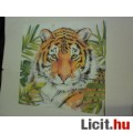 Eladó szalvéta - tigris