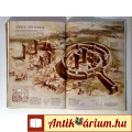 National Geographic Magyarország 2011/6 Június (viseltes) 10kép+tartal
