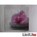 Eladó szalvéta - orchideák