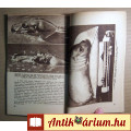 Univerzum 1957/2 (2.kötet) Békaemberek a Szuezi-csatornában